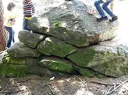 Verwitternder Gneisblock