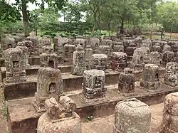 Stupafeld vor einer Baumreihe