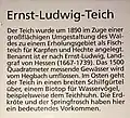 Rhein Main Info Grafik Ernst Ludwig Teich
