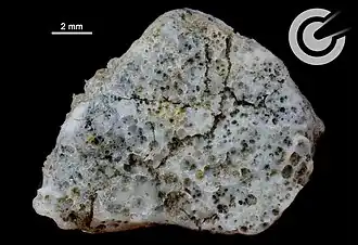 Individual mit heller, glasschaumartiger Schmelzkruste (flugabgewandte Seite, Probe F82)