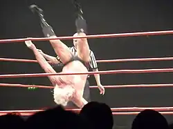 Senton Bomb