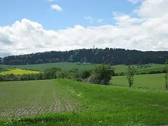 Der Riechheimer Berg aus östlicher Richtung gesehen