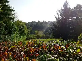 Blick vom Reisenberg auf den Schenkenberg