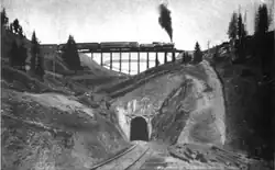 Riflesight Notch Tunnel