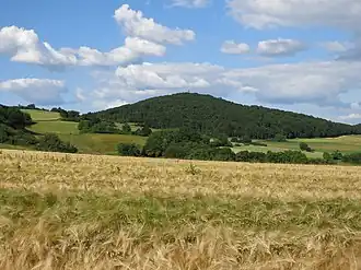 Blick von Südwesten zum Rimberg