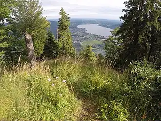 Gipfelbereich mit kleinerem der beiden Gipfelkreuze und Blick auf den Tegernsee im Hintergrund