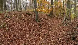 Links der Wall, daneben rechts der Graben