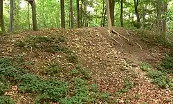 Wiederverfüllte Ausgrabungsstelle am Wall, 2013