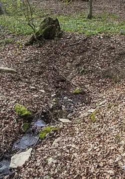 Nördlicher Quelltopf