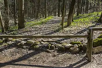 Unterbrechung durch Forstweg