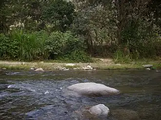 Der Fluss Rionegro