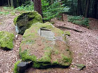Ritterstein 145, zugleich als Naturdenkmal ausgewiesen