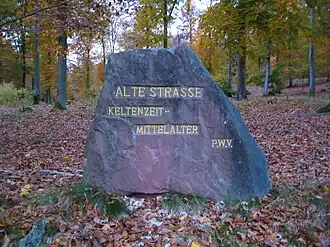 Ritterstein 227 an der Südflanke