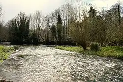 Der River Awbeg bei Castletownroche