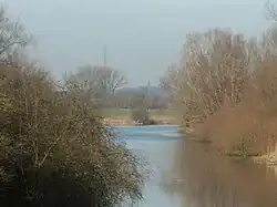 Die Kalflack bei Emmericher Eyland