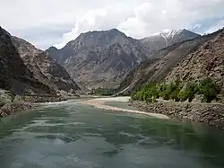 Indus Dolphin Reserve