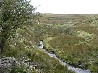 Der Sirhowy River kurz nach der Quelle auf dem Berg Cefn Pyllaudon