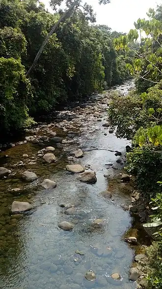 Fluss im Bicol Natural Park