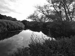 Mündungsbereich des Schwarzbachs in die Blies