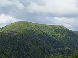 Blick vom Speikkogel auf den Gipfelbereich des Roßbachkogels.