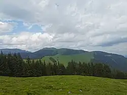 Blick über die Roßbachalm nach Nordosten auf den Roßbachkogel.