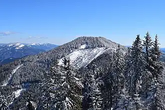 Blick von der Mugel nach Osten auf das Roßeck, Wapplersattel rechts von Bäumen verdeckt