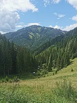 Blick von der Utschmoaralm über den östlichen Talschluss aufs Roßeck.