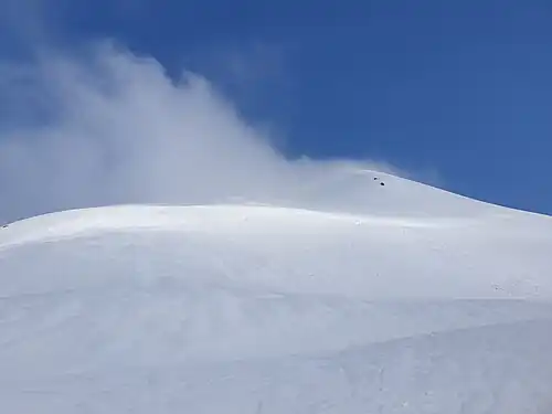 Der Südhang der Roccabella.