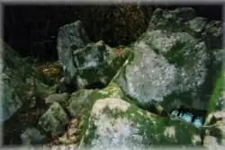 Gesteinsformation „La roche aux fées“