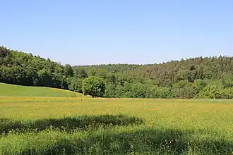 Der Rochusberg (Bildmitte, Hintergrund)