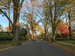 Die Rodman Street verläuft in ost-westlicher Richtung mitten durch Spring&nbsp;Valley