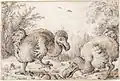 Dodo Vögel, um 1626 (?), Kreide auf Papier, Crocker Art Museum, Sacramento (Kalifornien)