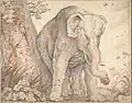 Elephant, der sich an einem Baum reibt, ca. 1608–1612, schwarze Kreide, Rötel und Estompe auf Papier, Albertina, Wien