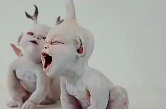 The Grave Watchers Childhood – Version 2