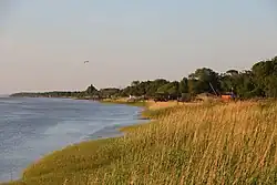 Farbfotografie eines Strandes mit dem ruhigen Meer auf der linken Seite und einer hohen Wiese auf der rechten Seite. Im Hintergrund sind mehrere Stege mit Schuppen und Bäumen.