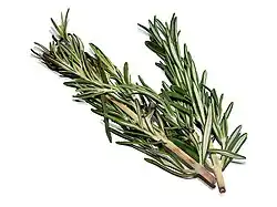 Rosmarinzweige