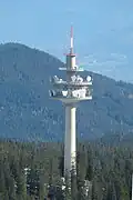 Richtfunkturm Rossbrand