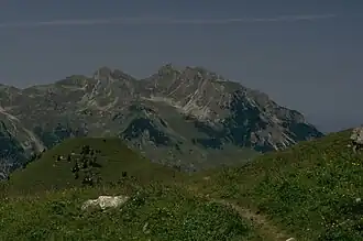 Alpkopf (der am weitesten rechts liegende Gipfel mit einer großen Wiese im Gipfelbereich) vom Gebiet der Rappenseehütte. Links daneben der Alpgundkopf, links der darauf folgenden Scharte der Rossgundkopf. Ganz links die Rossgundscharte. Links im Vordergrund der begraste Mußkopf