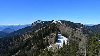 Die Rote Wand von Osten, an der Schneegrenze das obere Ende der Tyrnauer Alm (Hütte hinter Bäumen verdeckt)