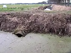 Aufzweigung an der Landesstraße 98