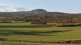 Die Rother Kuppe von Südosten aus gesehen