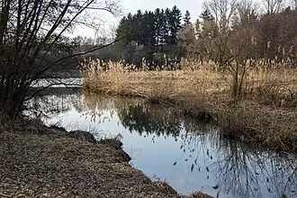 Ein Weiher am Südufer