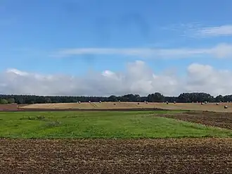 Blick von der Dorfstraße auf den Mühlberg