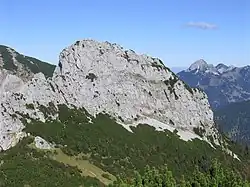 Ruchenköpfe, im Hintergrund der Wendelstein