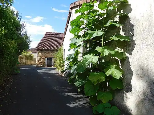 Rue Sans Nom (Namenlose Straße) im Ortskern
