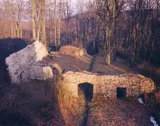 Blick vom Burgturm auf die Ruine der Homburg