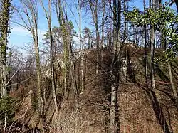 Ruine Münchsberg, Aesch, Basel-Land, Schweiz