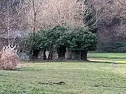 Eine weitere Ruine, komplett überwachsen, beim Fischteich