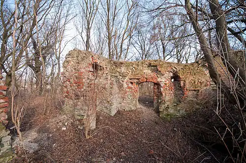 Ruine der Burg Jeltsch