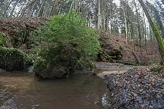 Felssturz, jetzt bewachsen